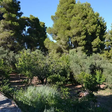Nyaraló Estate Near Anc.olympia *